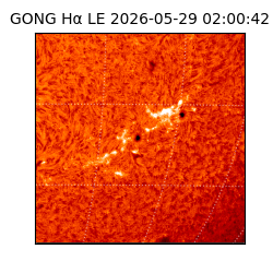 gong - 2026-05-29T02:00:42