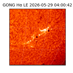gong - 2026-05-29T04:00:42