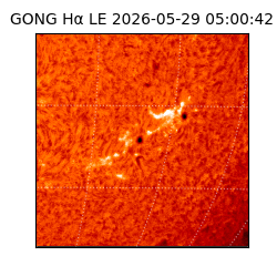 gong - 2026-05-29T05:00:42