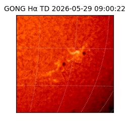 gong - 2026-05-29T09:00:22