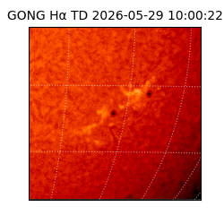 gong - 2026-05-29T10:00:22