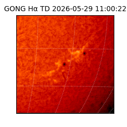 gong - 2026-05-29T11:00:22