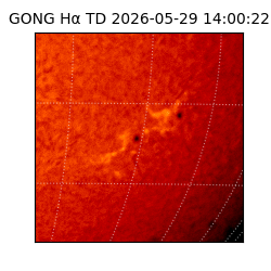 gong - 2026-05-29T14:00:22