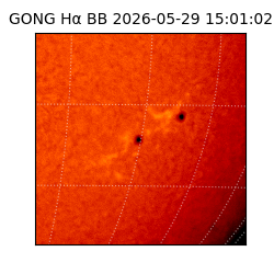 gong - 2026-05-29T15:01:02