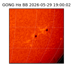gong - 2026-05-29T19:00:02