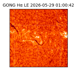 gong - 2026-05-29T01:00:42