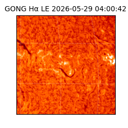 gong - 2026-05-29T04:00:42