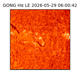 gong - 2026-05-29T06:00:42