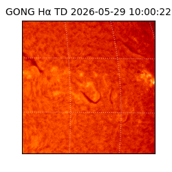 gong - 2026-05-29T10:00:22