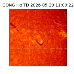 gong - 2026-05-29T11:00:22