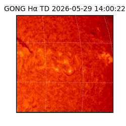 gong - 2026-05-29T14:00:22