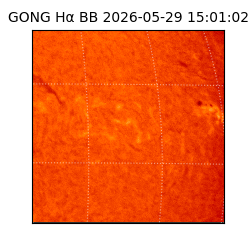 gong - 2026-05-29T15:01:02