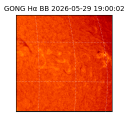 gong - 2026-05-29T19:00:02