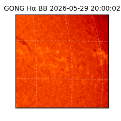 gong - 2026-05-29T20:00:02