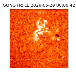 gong - 2026-05-29T08:00:42