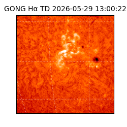 gong - 2026-05-29T13:00:22