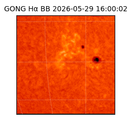 gong - 2026-05-29T16:00:02