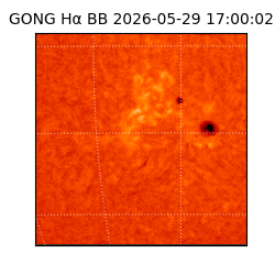 gong - 2026-05-29T17:00:02