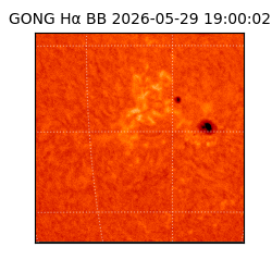 gong - 2026-05-29T19:00:02