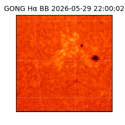 gong - 2026-05-29T22:00:02