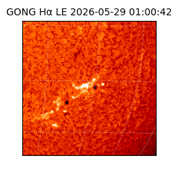 gong - 2026-05-29T01:00:42