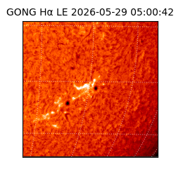 gong - 2026-05-29T05:00:42