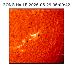 gong - 2026-05-29T06:00:42
