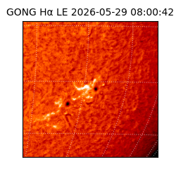 gong - 2026-05-29T08:00:42