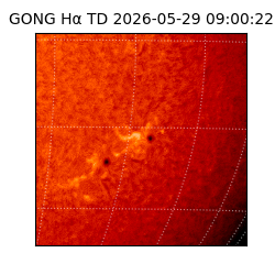 gong - 2026-05-29T09:00:22