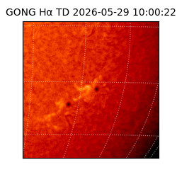 gong - 2026-05-29T10:00:22