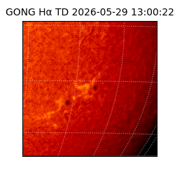 gong - 2026-05-29T13:00:22