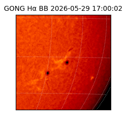 gong - 2026-05-29T17:00:02