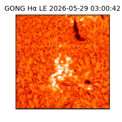 gong - 2026-05-29T03:00:42