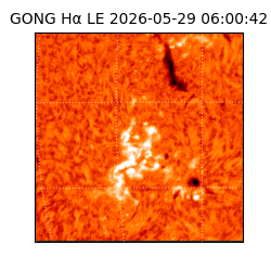 gong - 2026-05-29T06:00:42