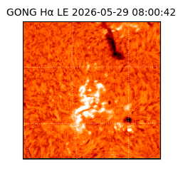 gong - 2026-05-29T08:00:42