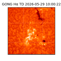 gong - 2026-05-29T10:00:22