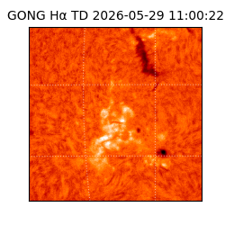 gong - 2026-05-29T11:00:22