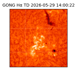 gong - 2026-05-29T14:00:22