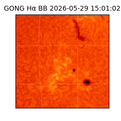 gong - 2026-05-29T15:01:02