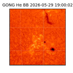 gong - 2026-05-29T19:00:02