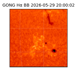 gong - 2026-05-29T20:00:02