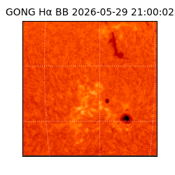 gong - 2026-05-29T21:00:02