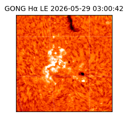gong - 2026-05-29T03:00:42