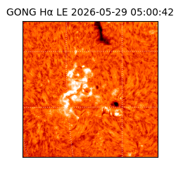 gong - 2026-05-29T05:00:42