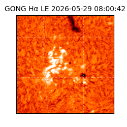 gong - 2026-05-29T08:00:42