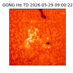 gong - 2026-05-29T09:00:22