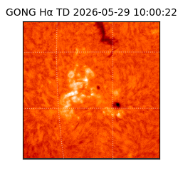 gong - 2026-05-29T10:00:22