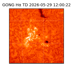 gong - 2026-05-29T12:00:22