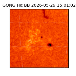 gong - 2026-05-29T15:01:02