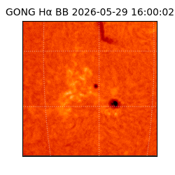 gong - 2026-05-29T16:00:02